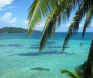 Providencia Fuente: Colombianparadise